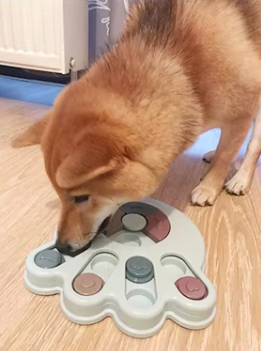 Gamelle interactive anti-glouton pour chien prévient torsion d'estomac