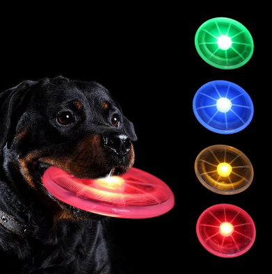 Frisbee LED rechargeable pour chien USB-C 4 couleurs
