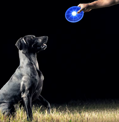 Frisbee LED rechargeable pour chien silicone tendre