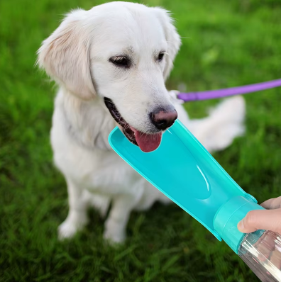 Gourde de promenade 350 ml anti-fuite pour chien