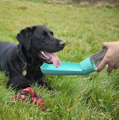 Gourde de promenade 350 ml pour chien gobelet intégré