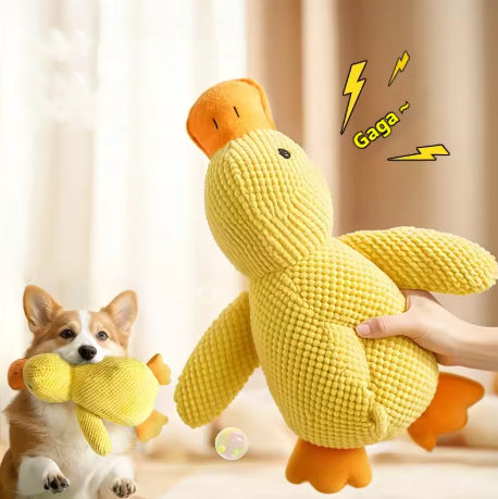 Peluche canard couineuse pour chien petits gabarits