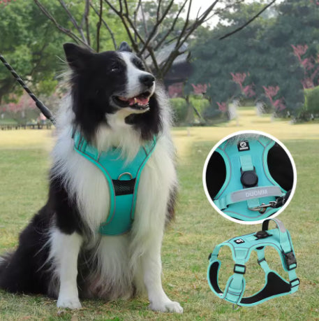 Harnais anti-traction réfléchissant pour chien détail sangles rembourrées