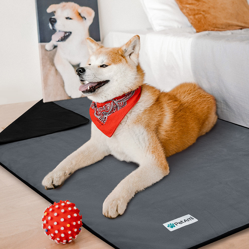 Couverture imperméable réversible pour chien lavable machine