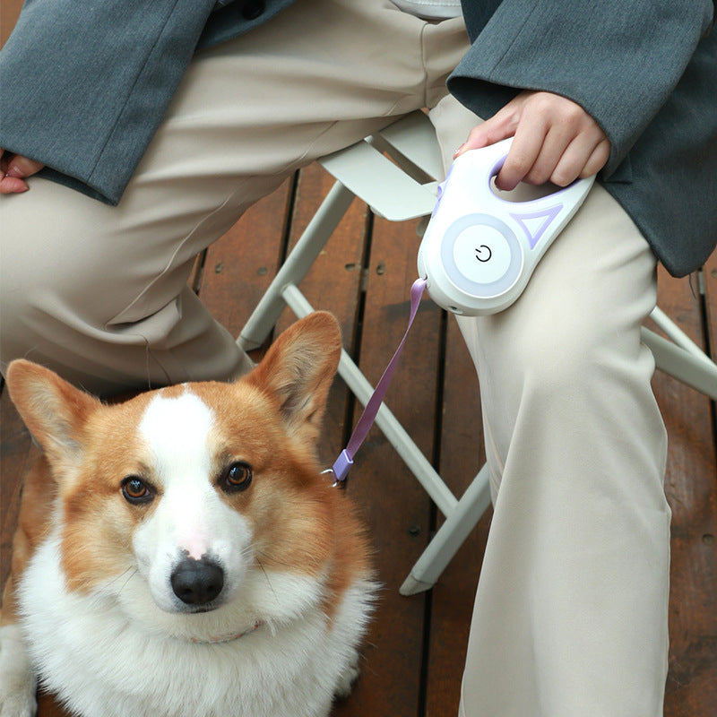 Laisse rétractable 5 m pour chien poignée ergonomique