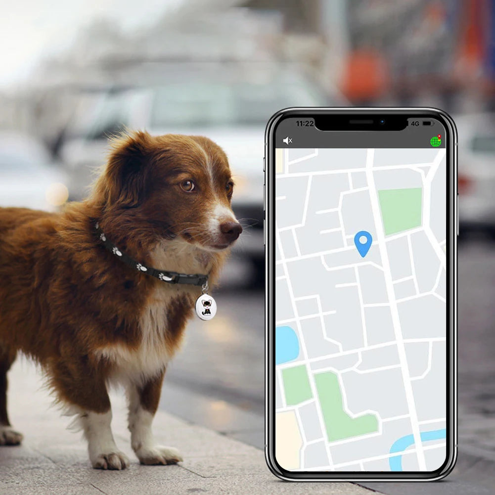 Collier GPS SafeTrack autonomie 5 jours USB rechargeable
