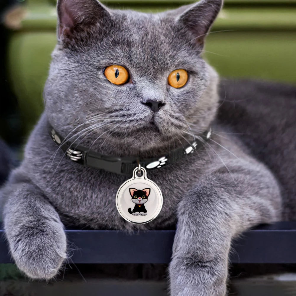 Collier GPS SafeTrack application iOS Android